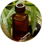 В составе крема Uniderm содержится масло чайного дерева