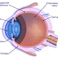 Око-Плюс комплексно оздоровляет органы зрения